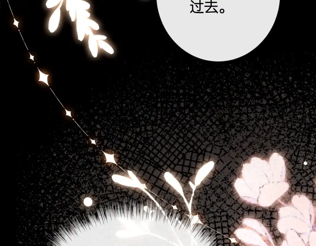 第256页