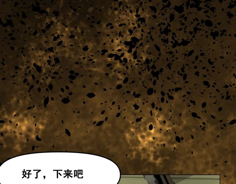 第195页