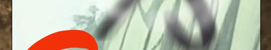 第250页