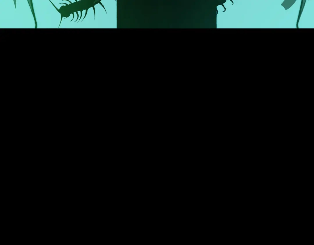 第204页
