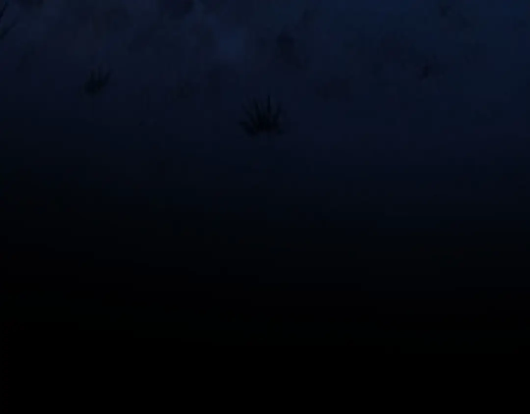 第218页