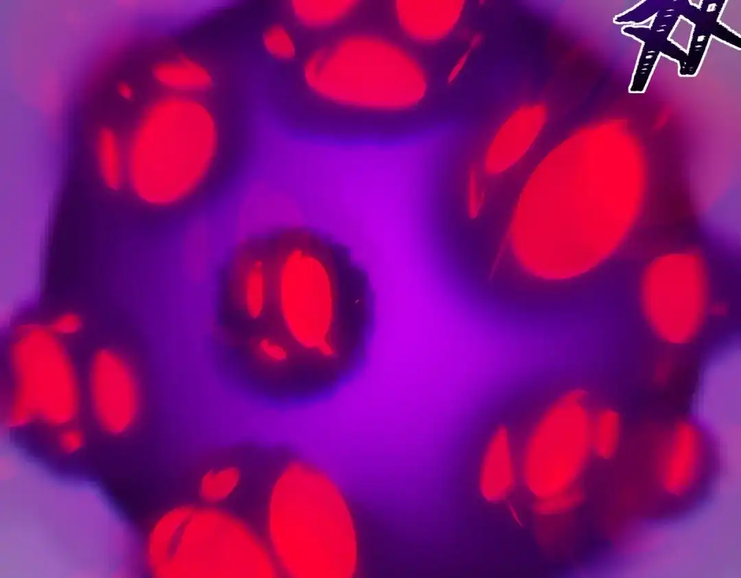 第204页