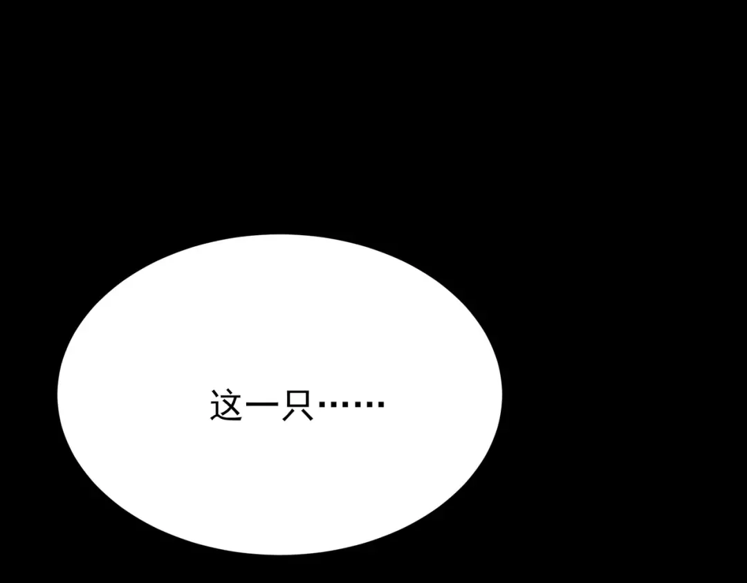 第253页