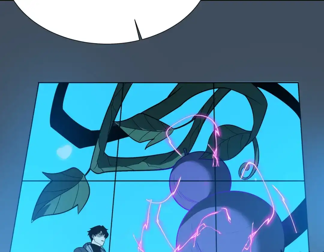 第206页