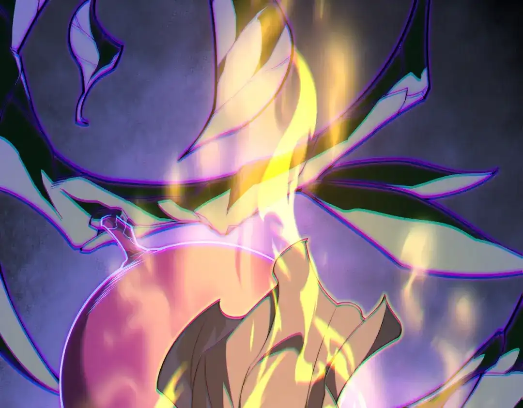 第214页