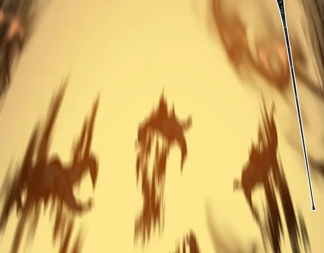 第213页