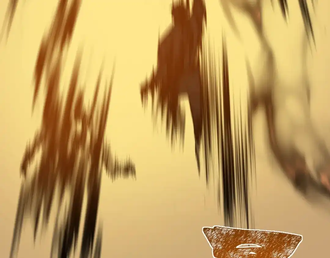 第214页