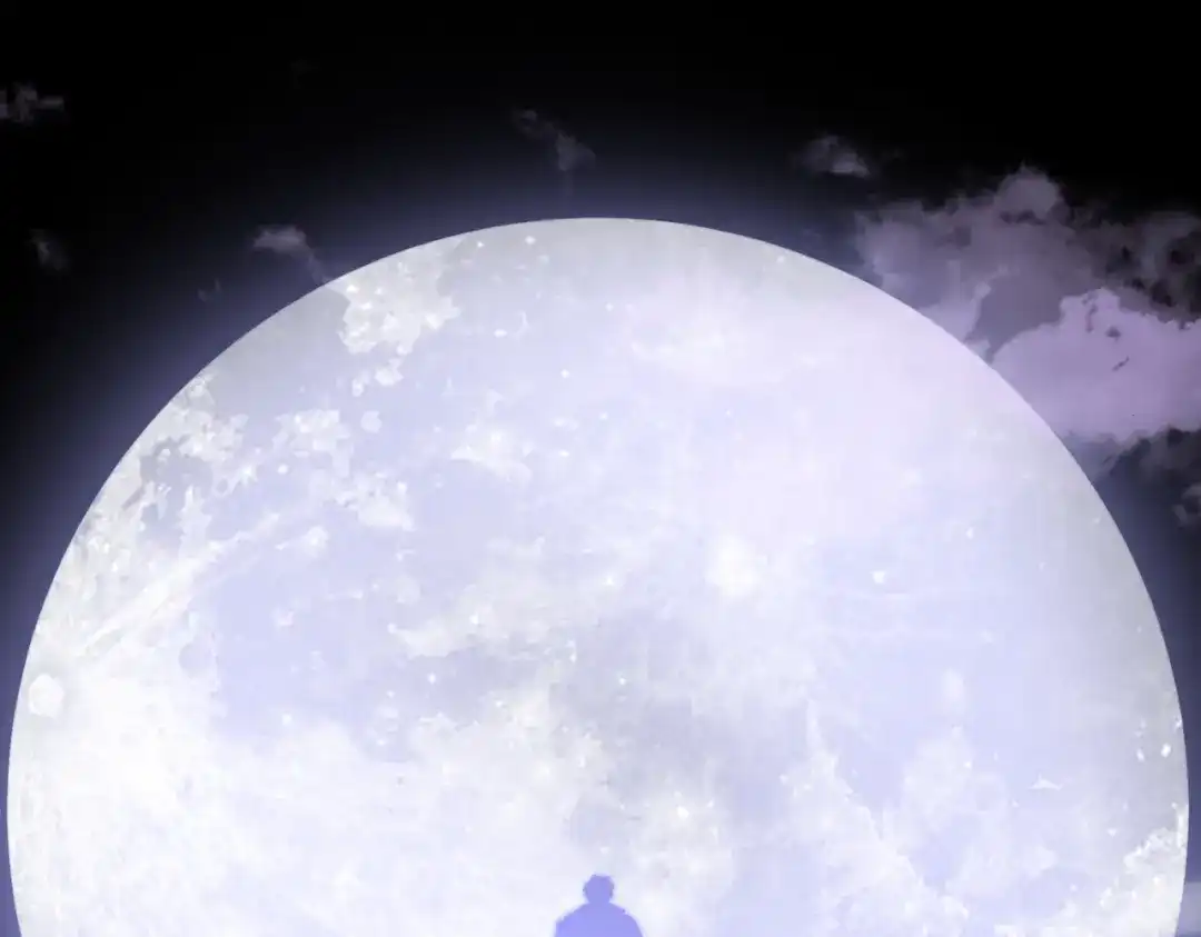 第231页