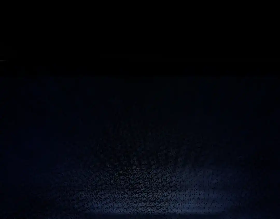 第221页