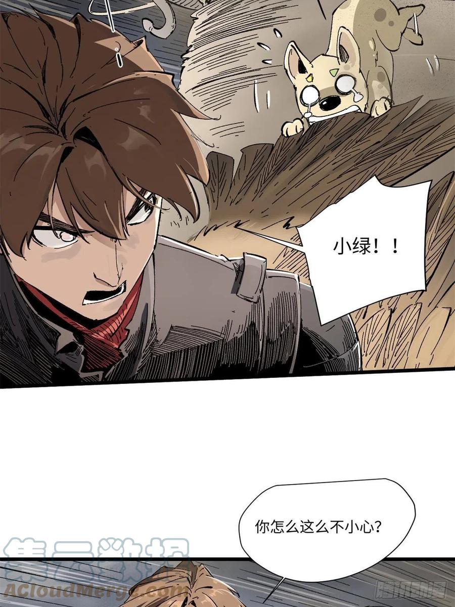 第61页
