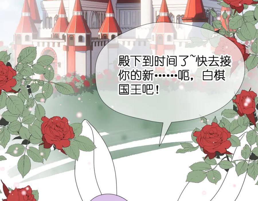 第246页