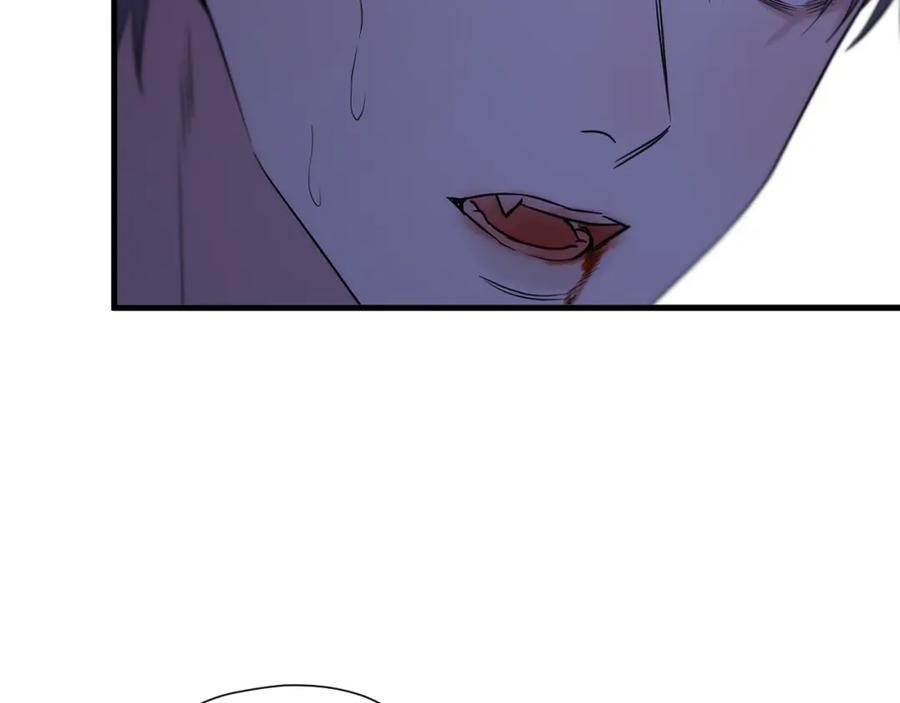 第295页