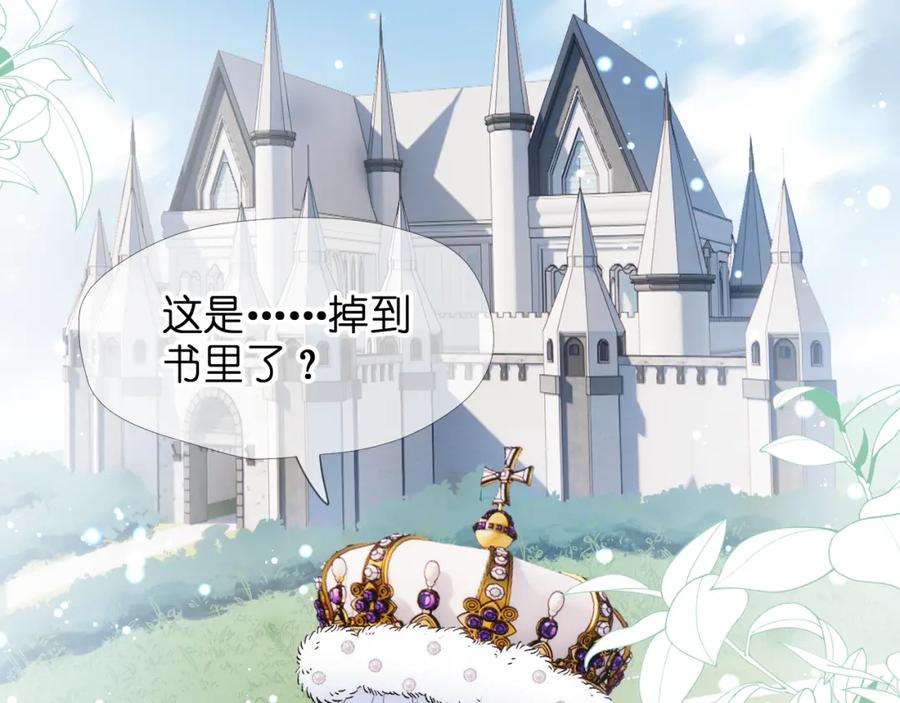 第216页