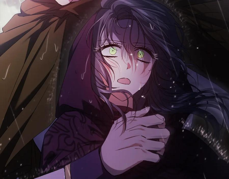 第216页