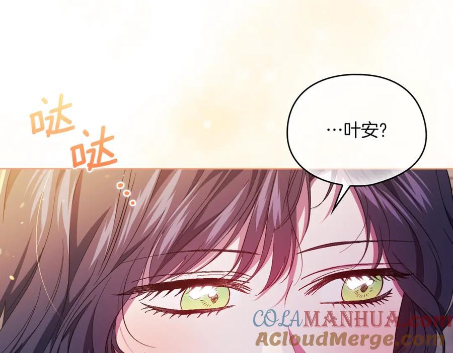 第185页