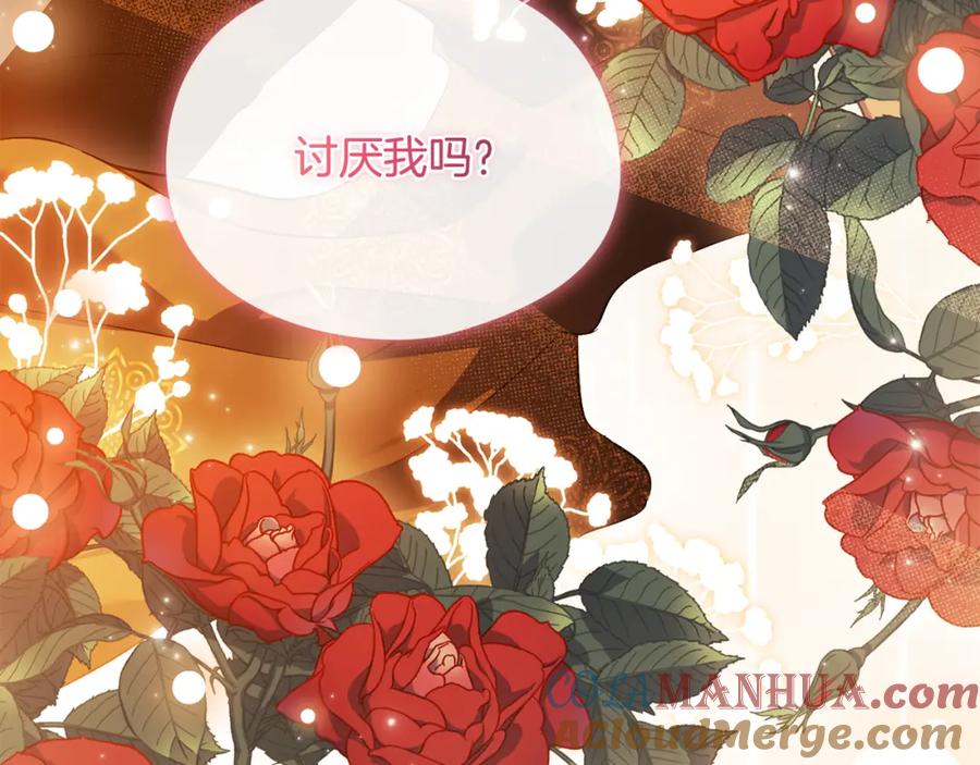 第213页