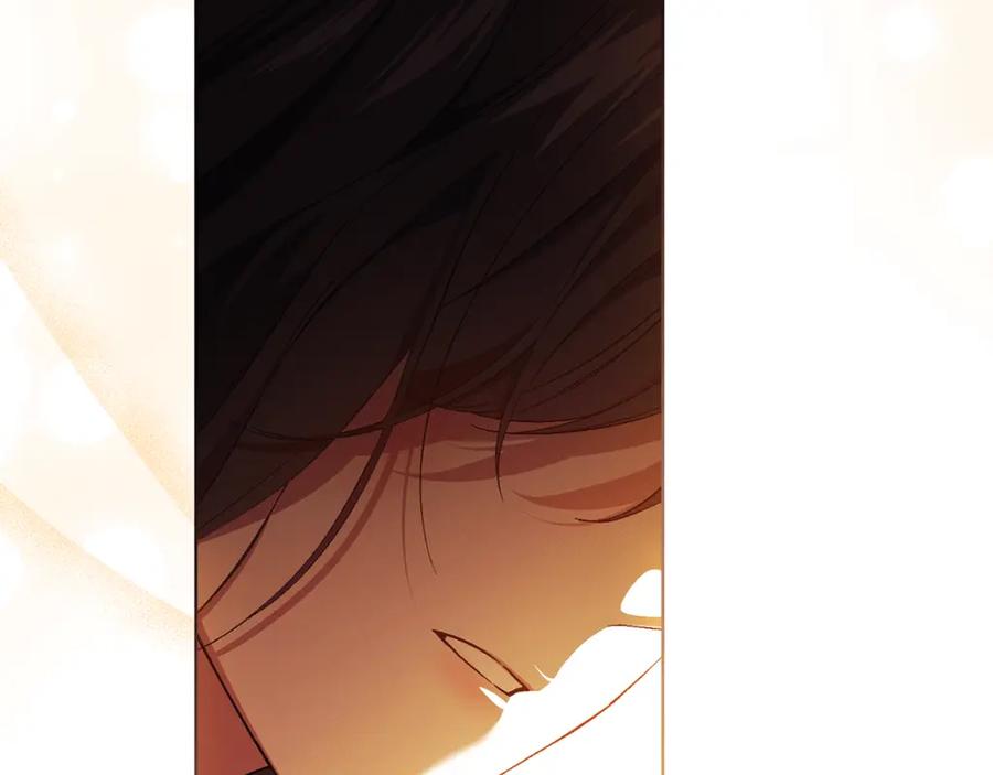 第224页