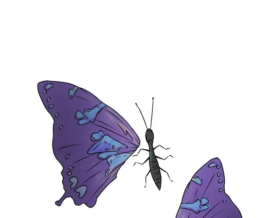 第81页