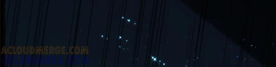 第217页