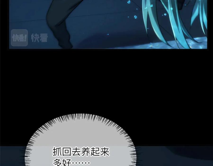 第246页
