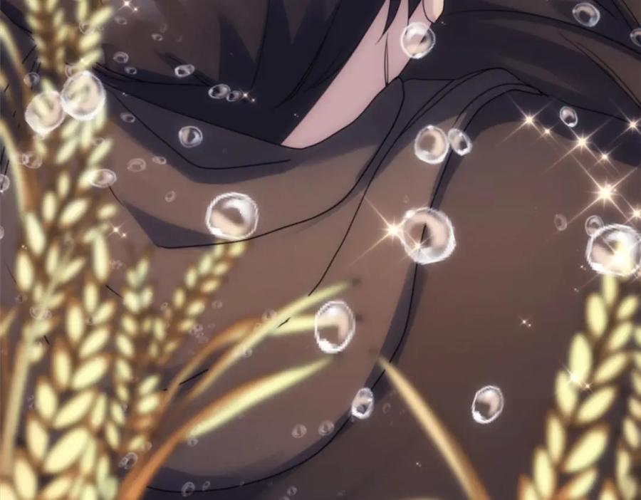 第342页