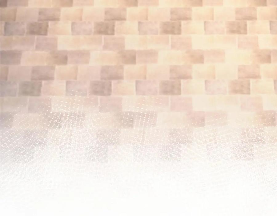 第238页