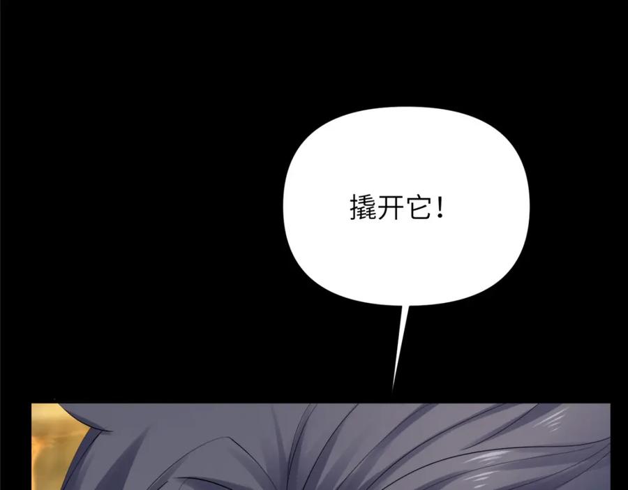 第228页