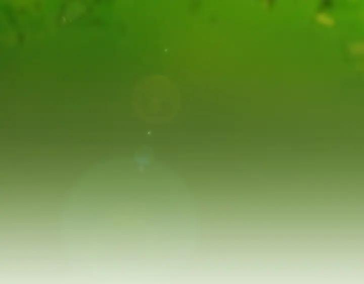 第400页