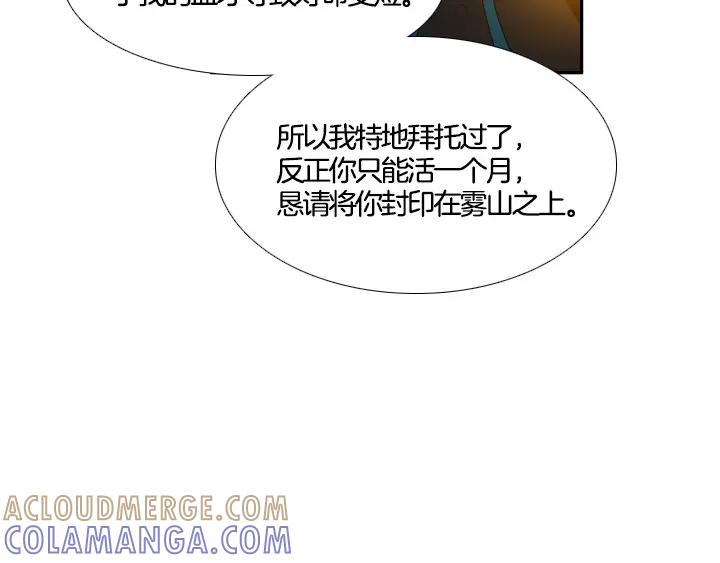 第242页