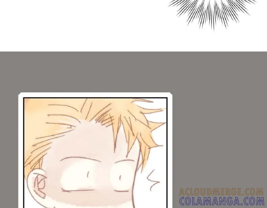 第197页