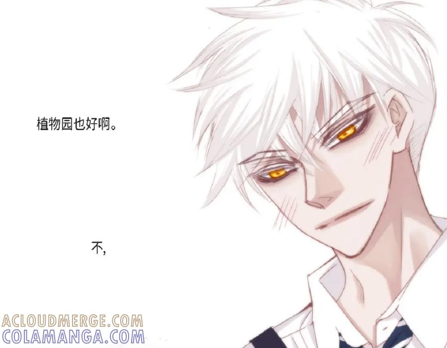 第205页