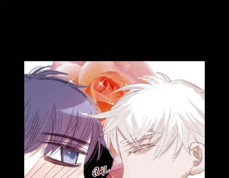 第215页