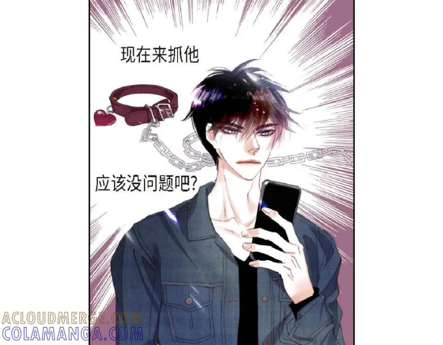 第205页