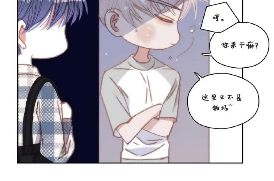 第164页