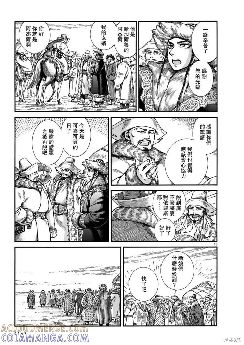 第13页