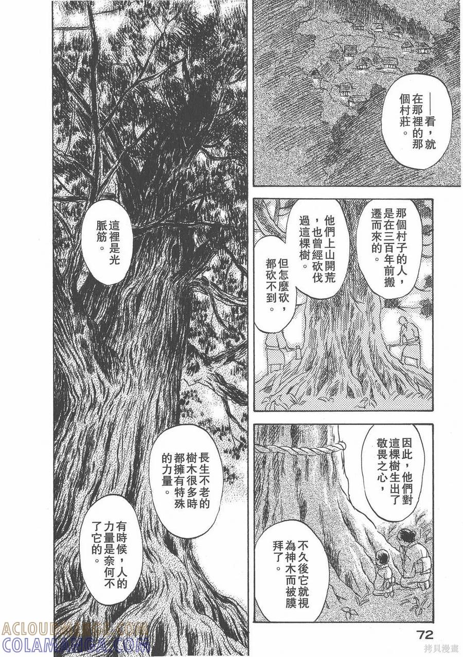 第73页