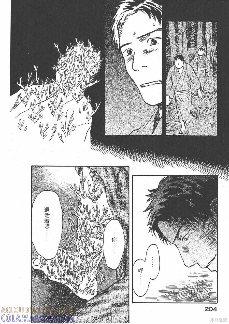 第205页