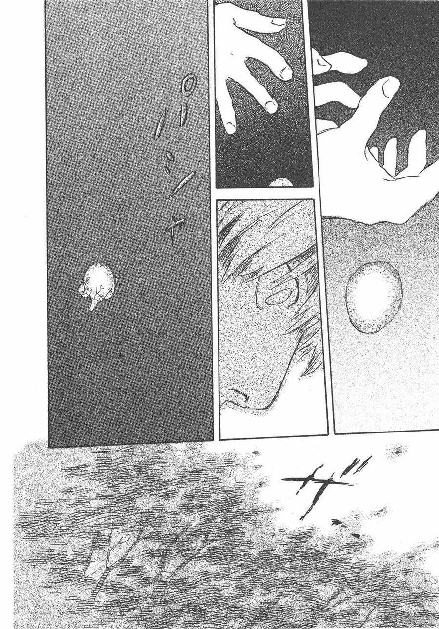 第215页