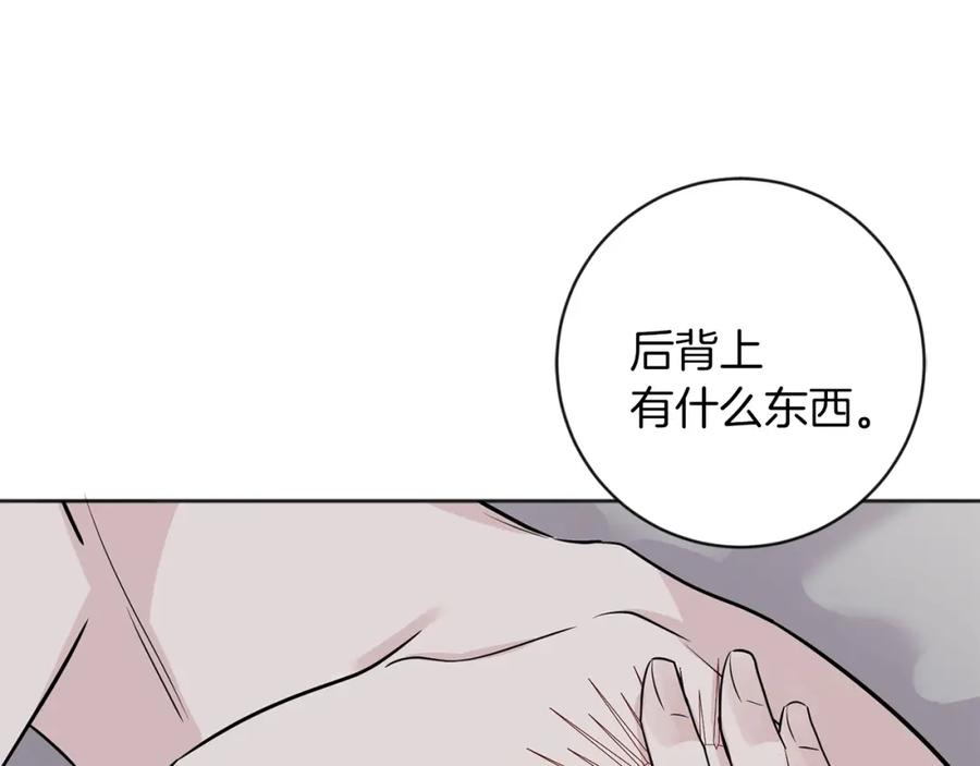 第227页