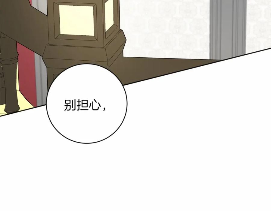 第194页