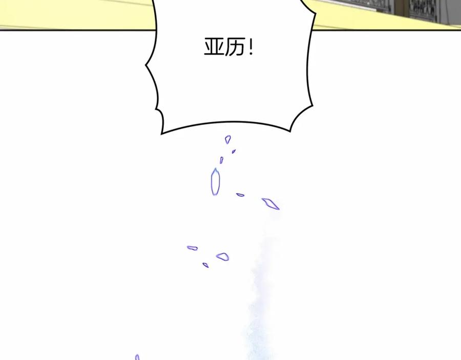 第227页
