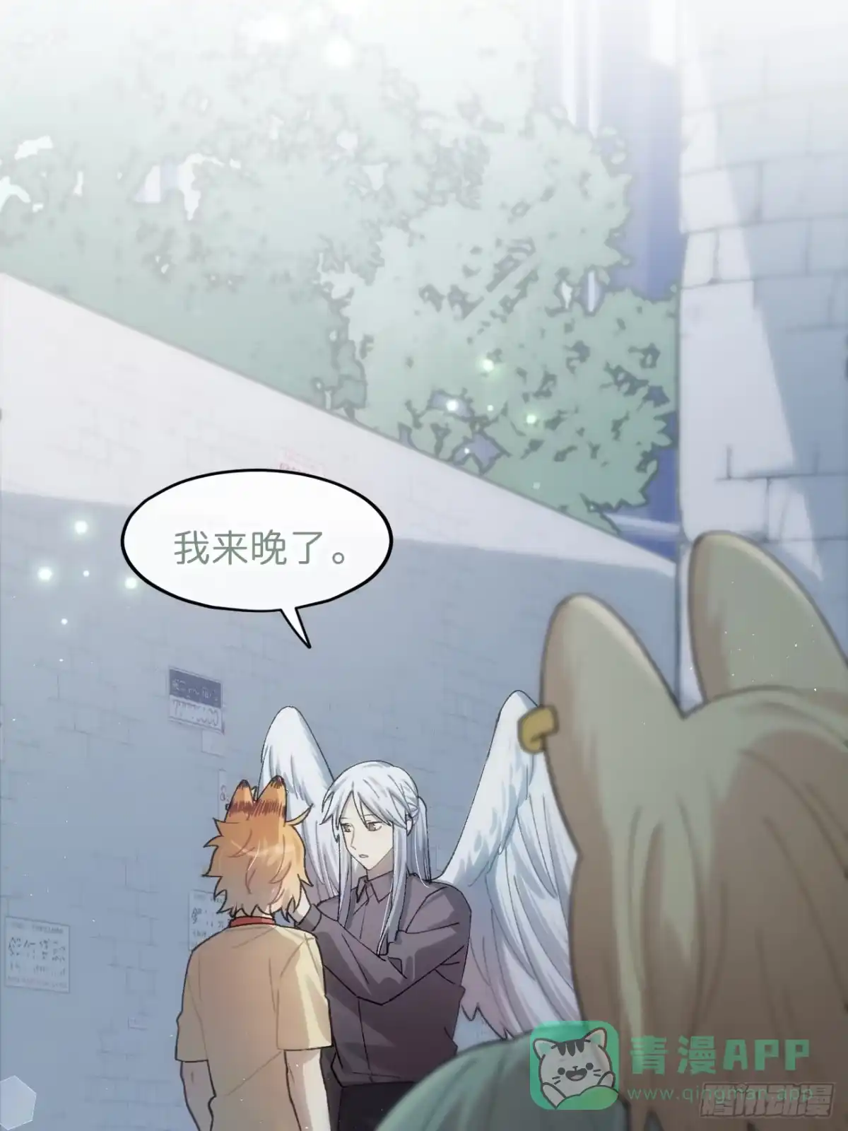 第81页