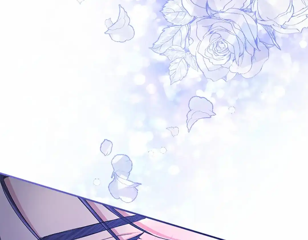 第247页