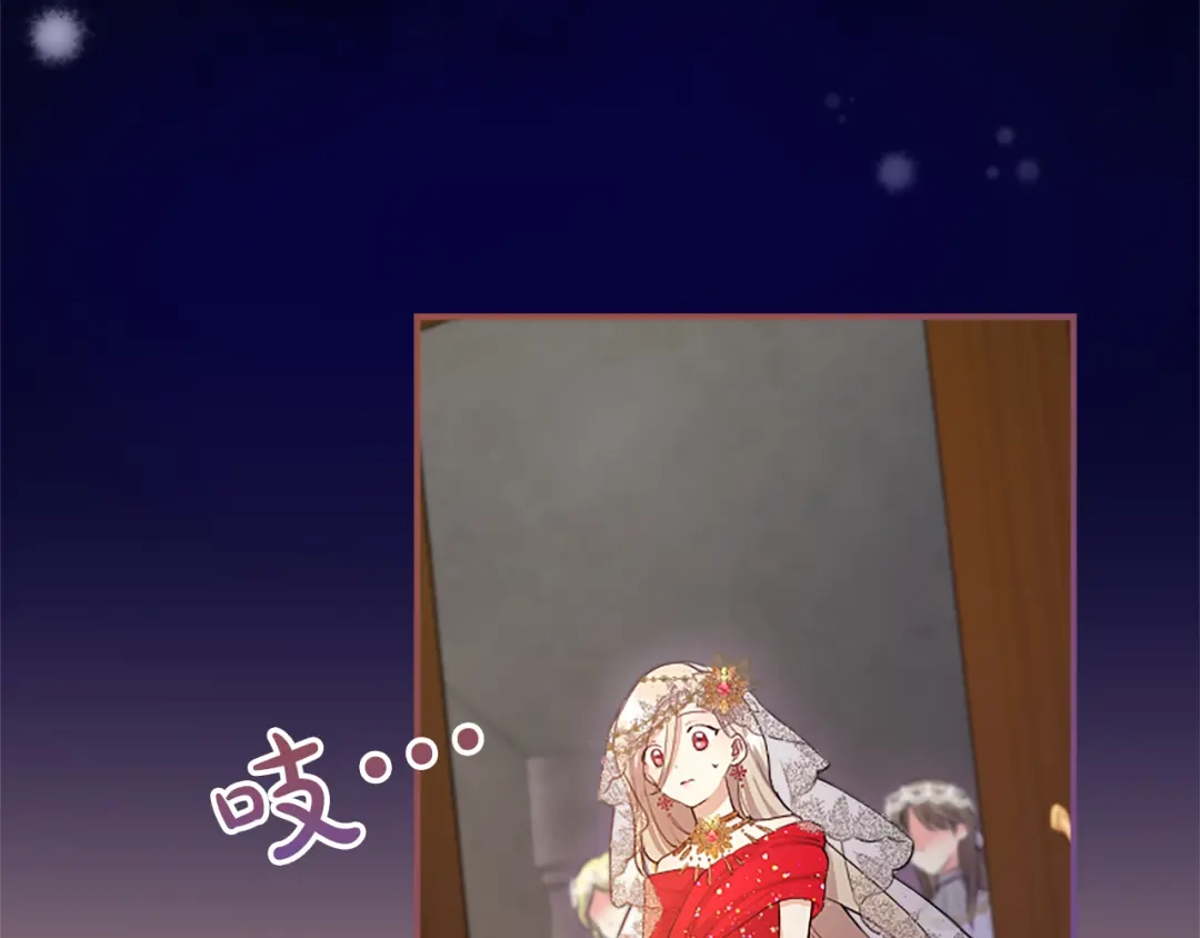 第219页