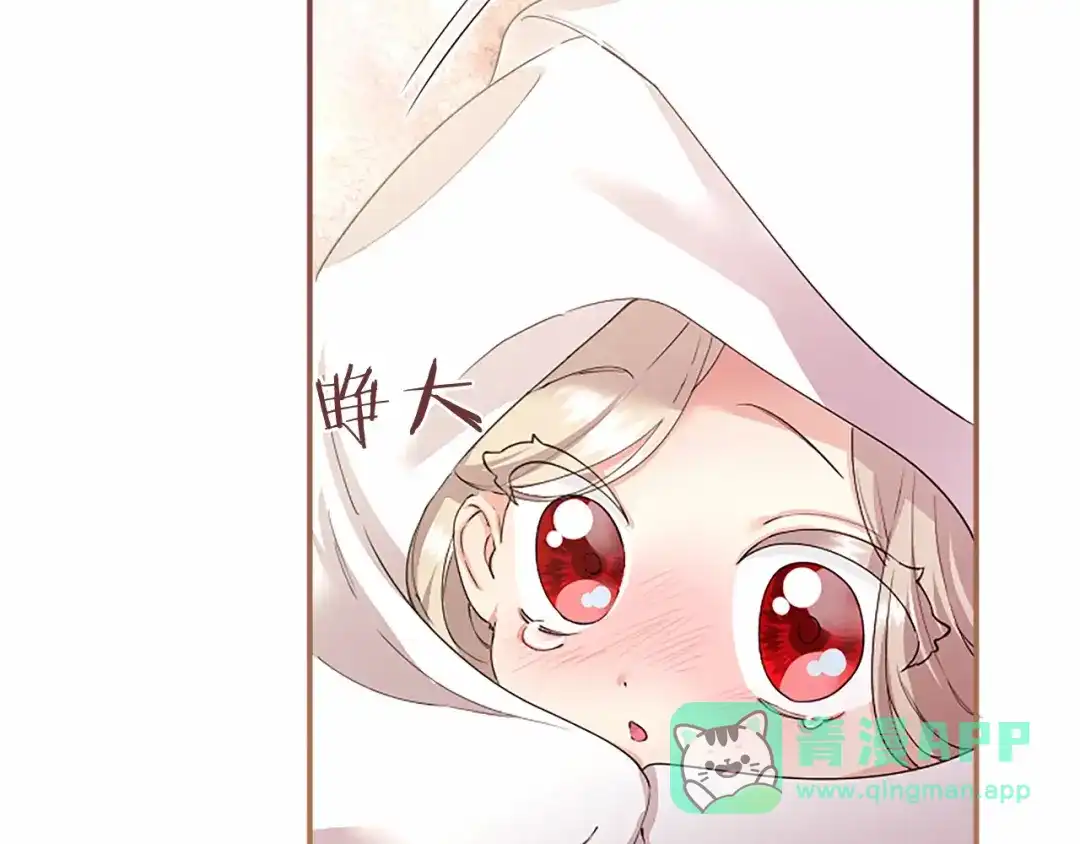 第216页