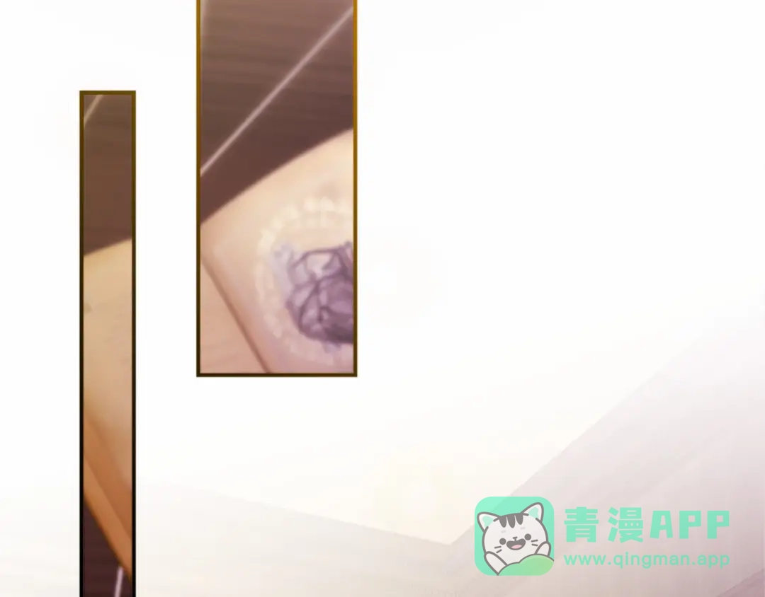 第241页