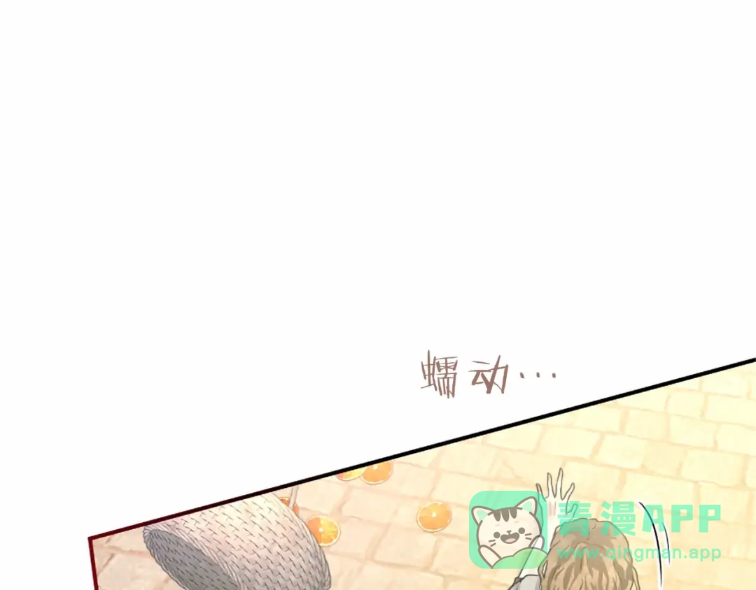 第216页