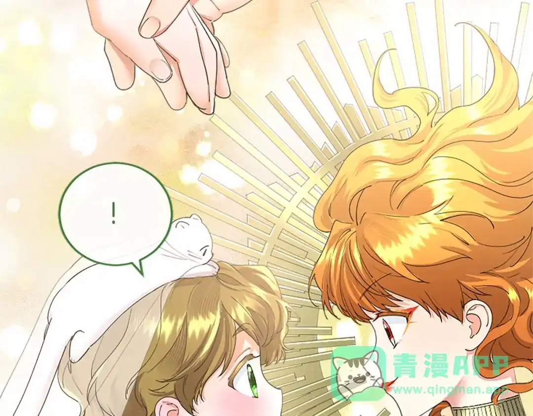 第216页