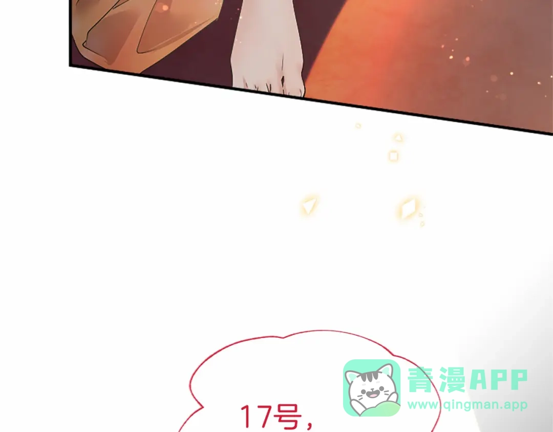 第221页