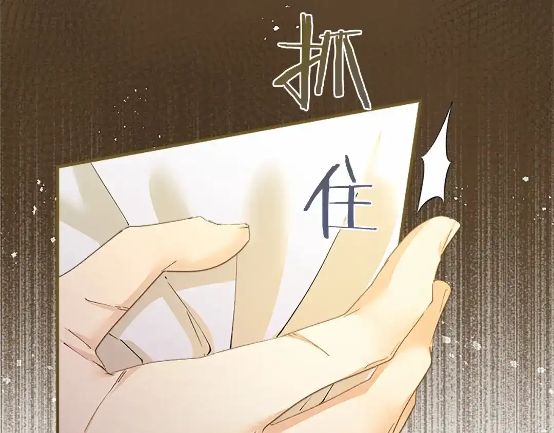 第214页